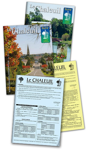 Bulletins municipaux de la commune de trizay